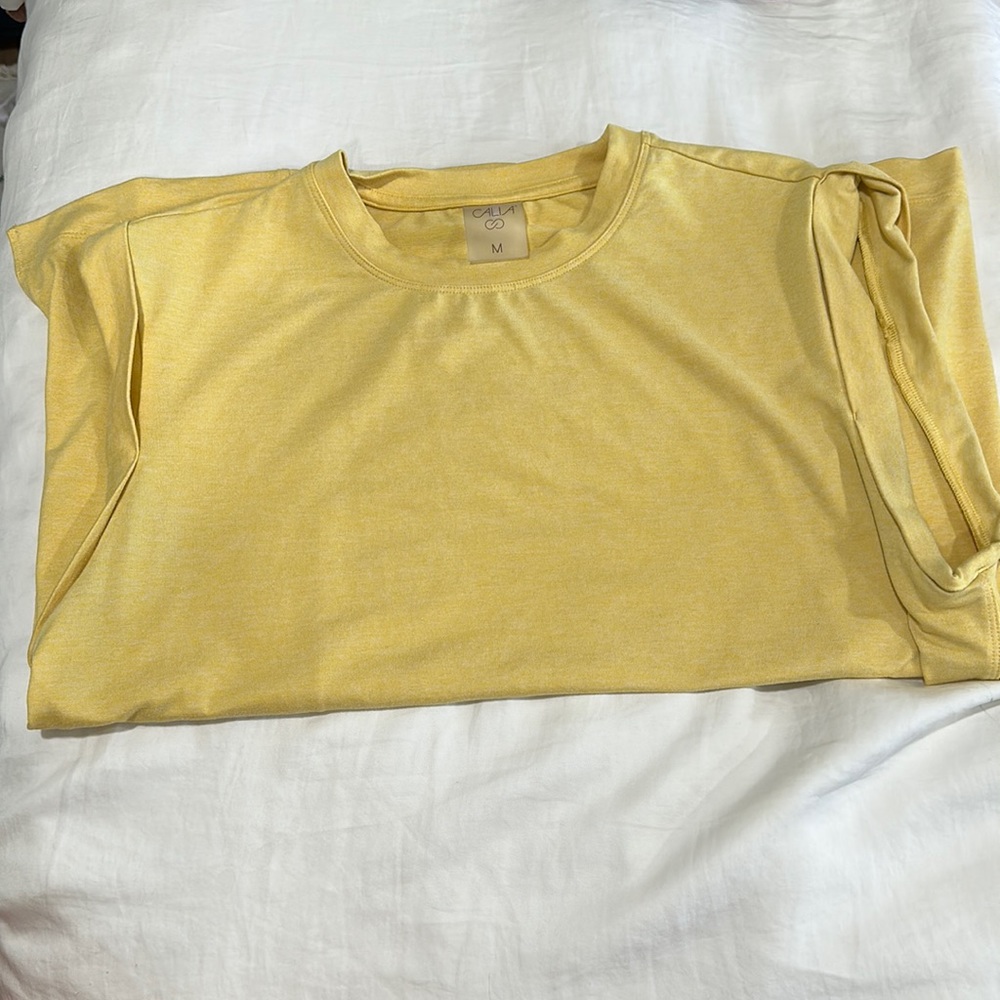 CAILA top